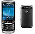 Blackberry Torch