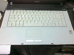 Sony Vaio FS8900