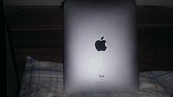 Apple iPad 1